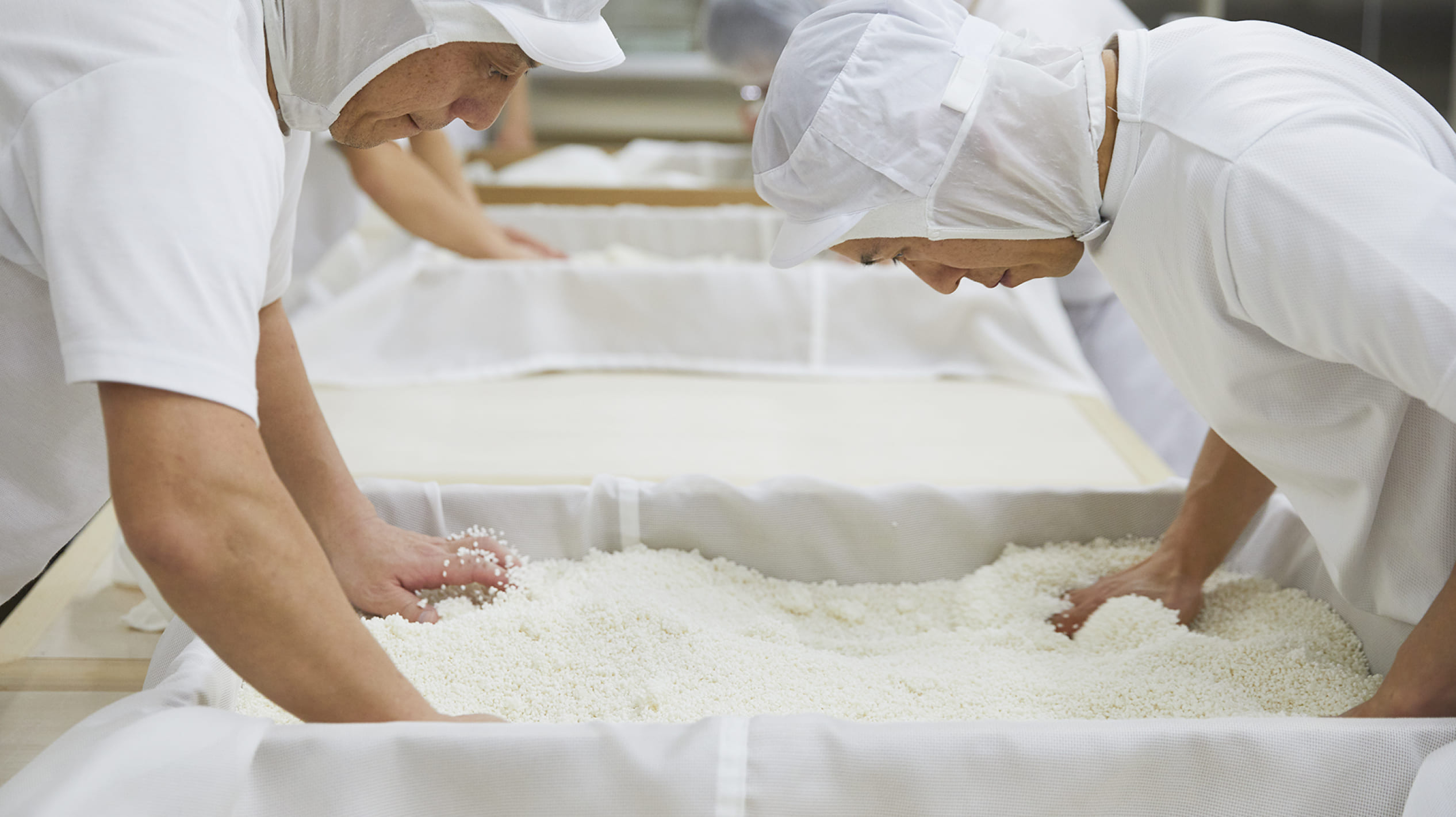 A photo of sake being made